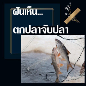 ทำนายฝัน