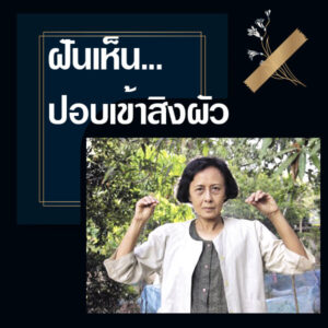 ทำนายฝัน