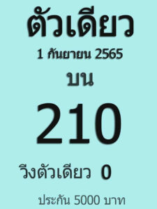 เลขเด็ด หวยตัวเดียว1-9-65