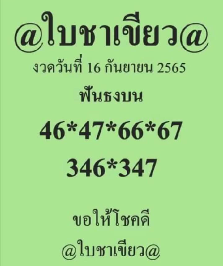 เลขเด็ด หวยใบชาเขียว16/9/65